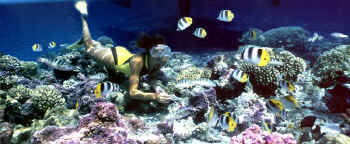 Armelle_snorkeling2
