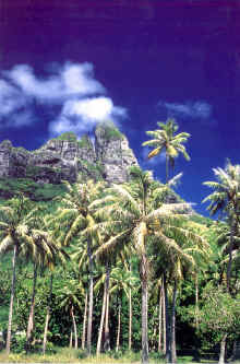 Cocoteraie_otemanu2