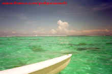 Moorea_lagon