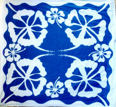 Pareo004