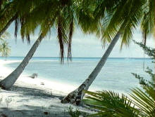 Rangiroa1