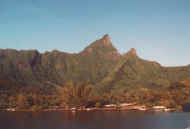 moorea7